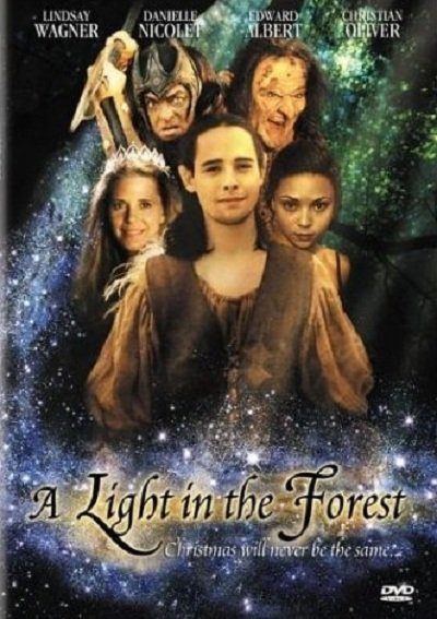 A light in the forest poster