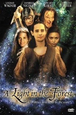 A light in the forest