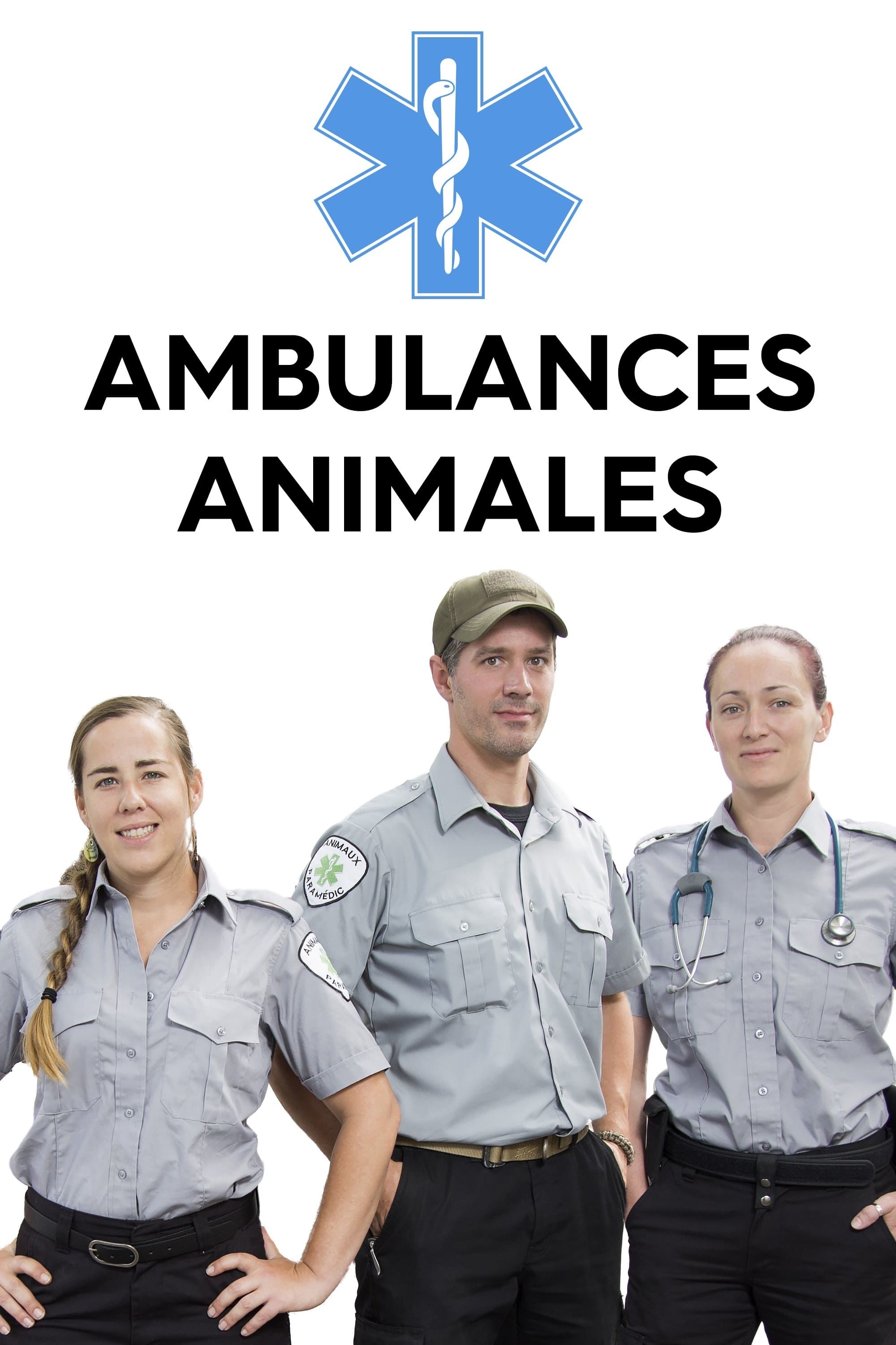 Ambulances animales poster