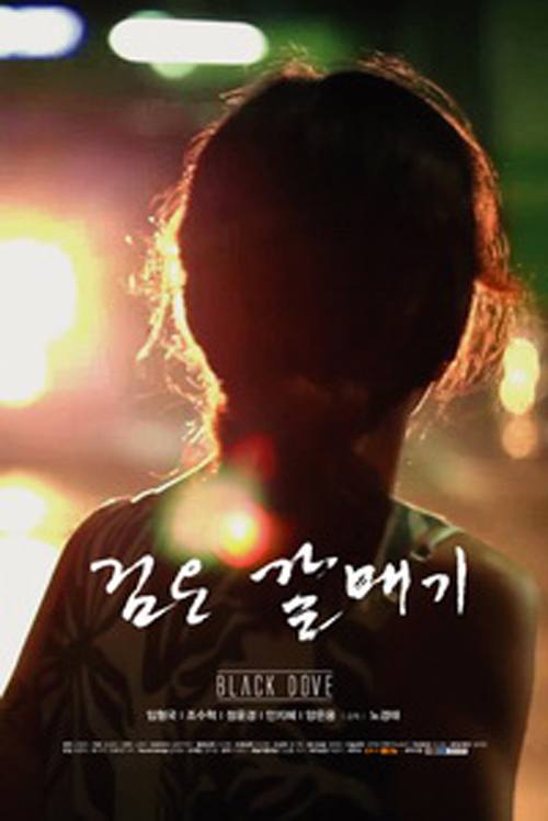 Black Dove poster