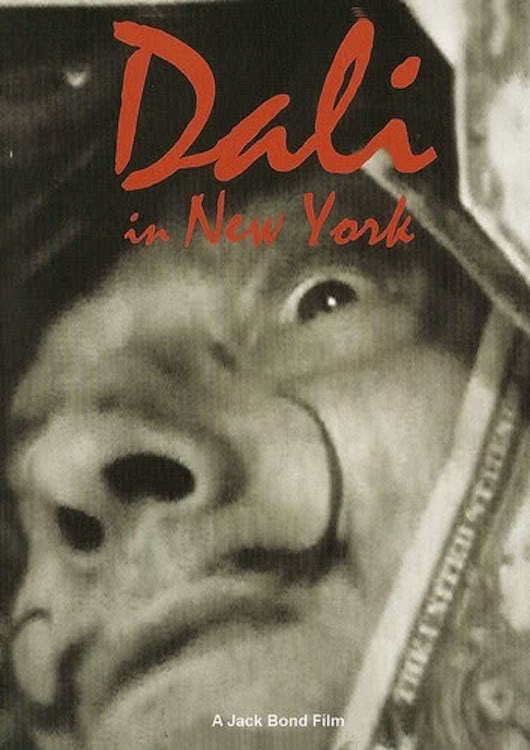 Dali In New York poster