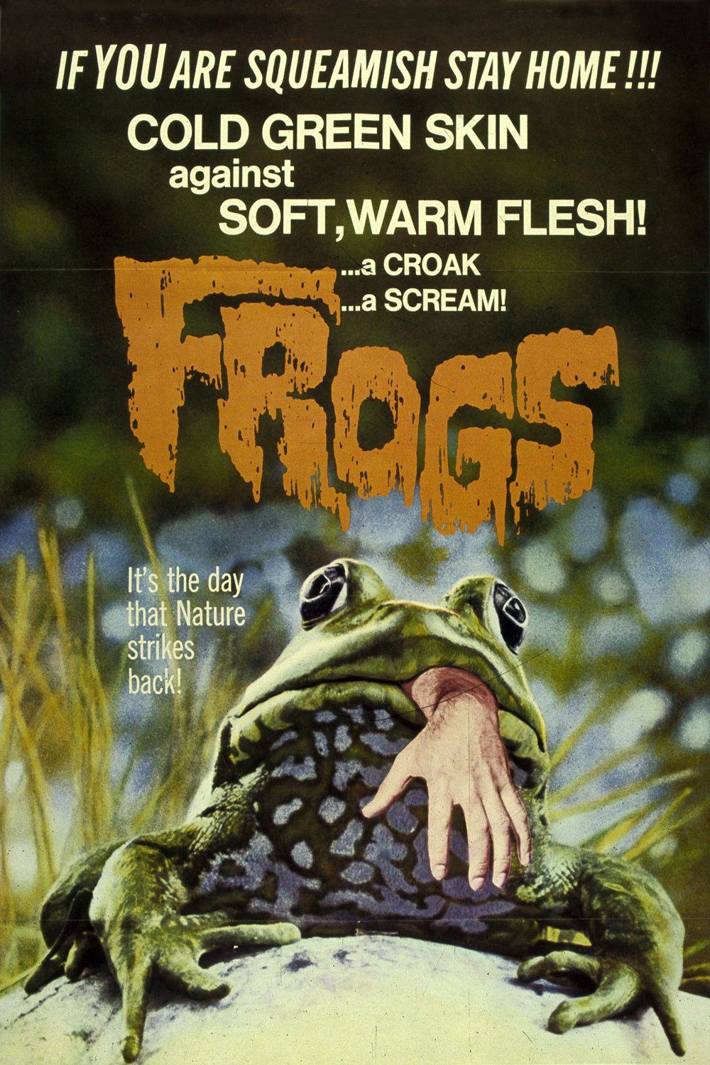 Frogs poster