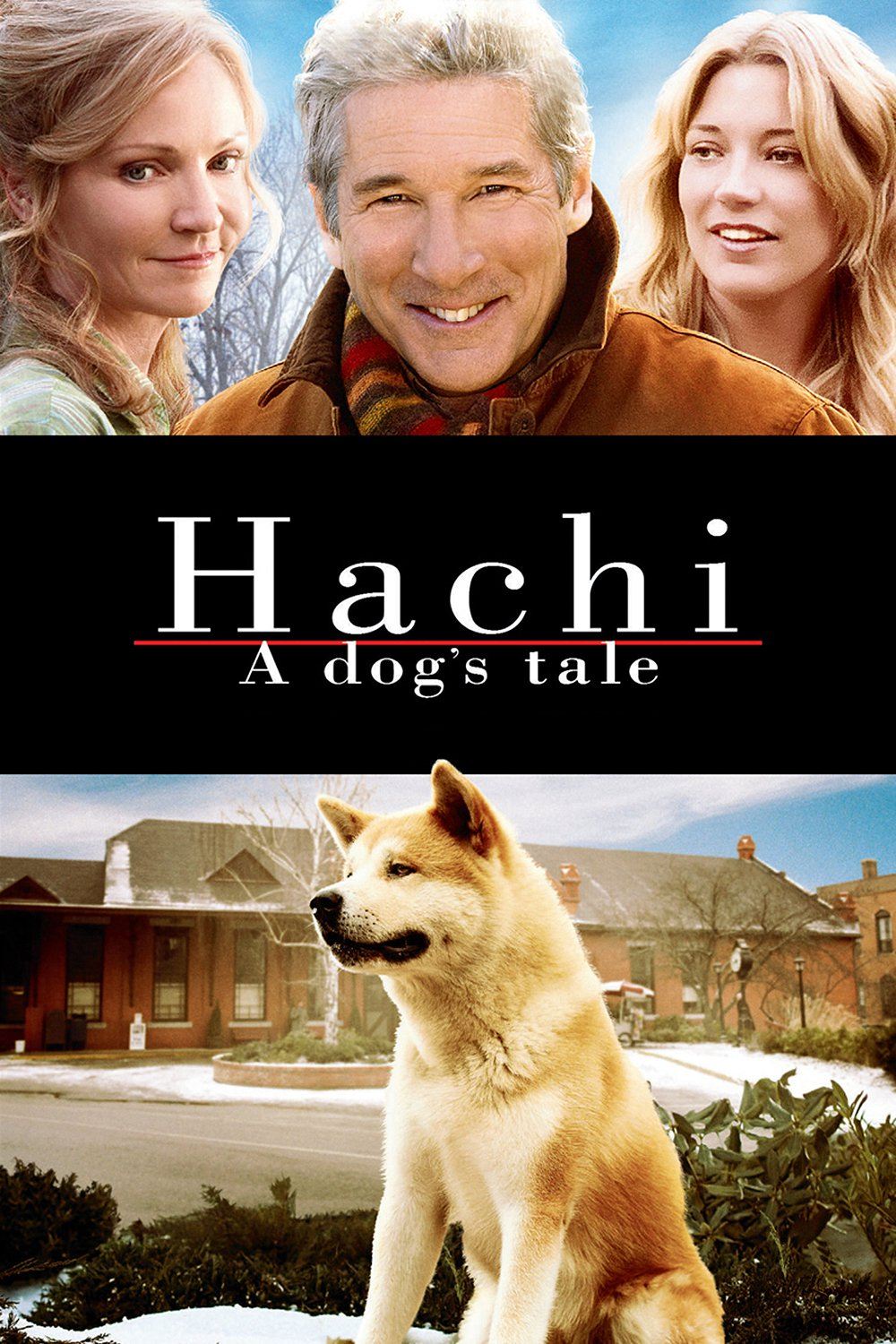 Hachi: A Dog's Tale poster