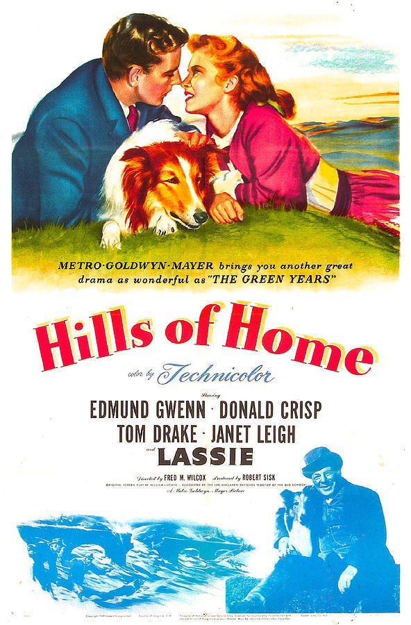 Hills of Home poster
