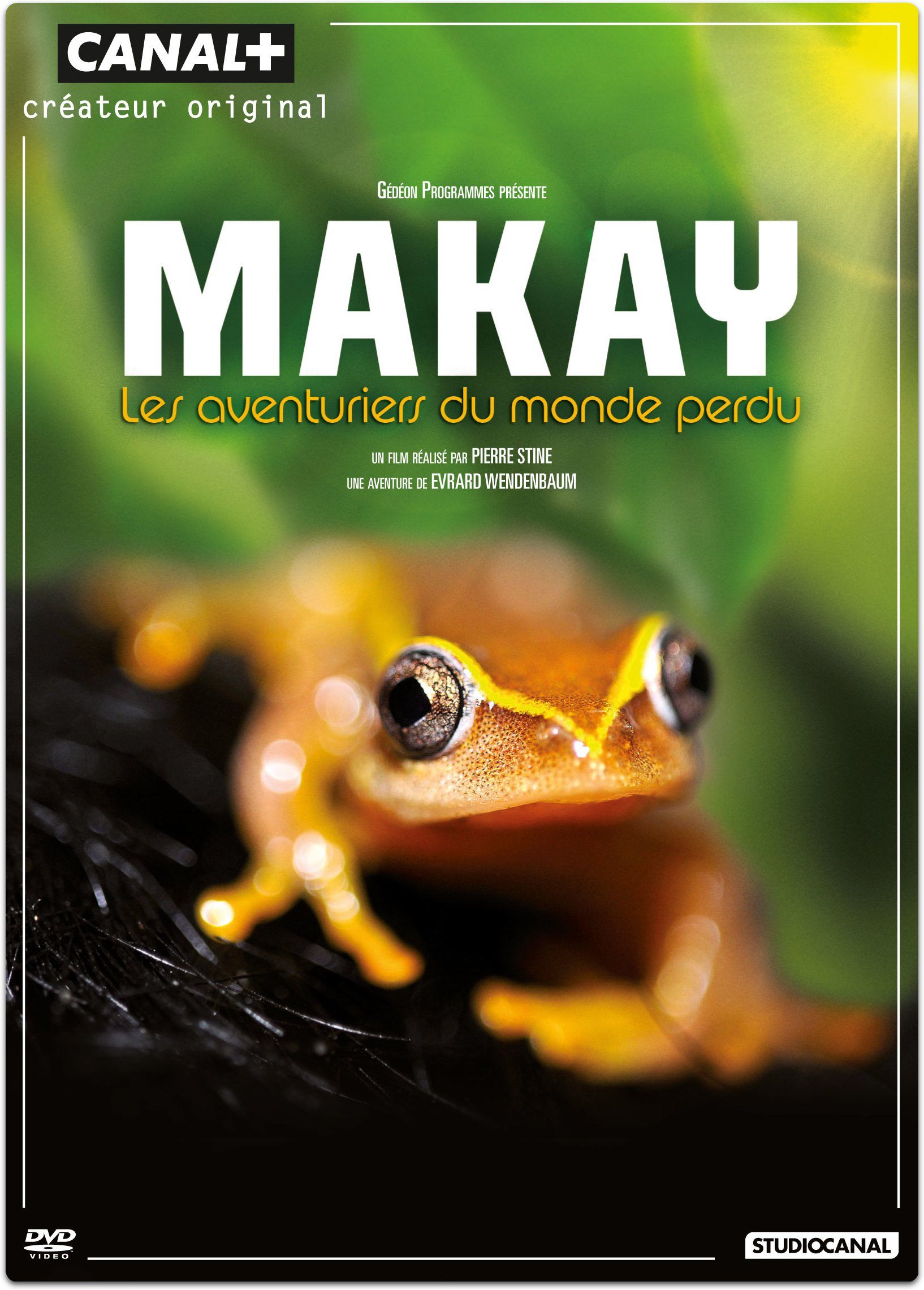 Makay The Lost World poster