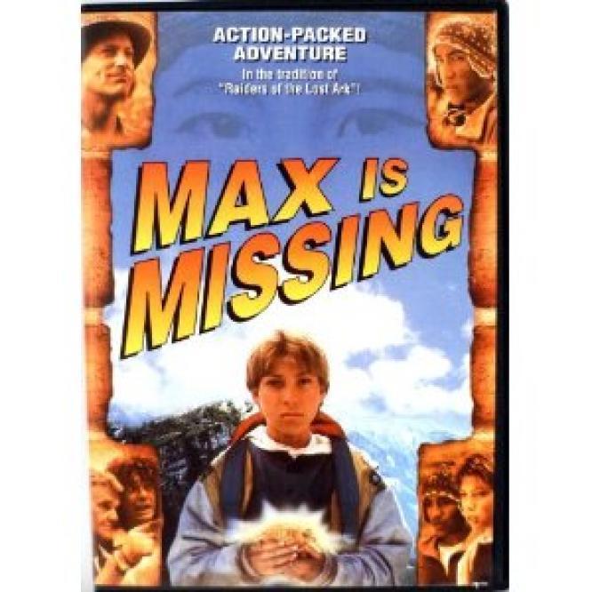Max Is Missing poster