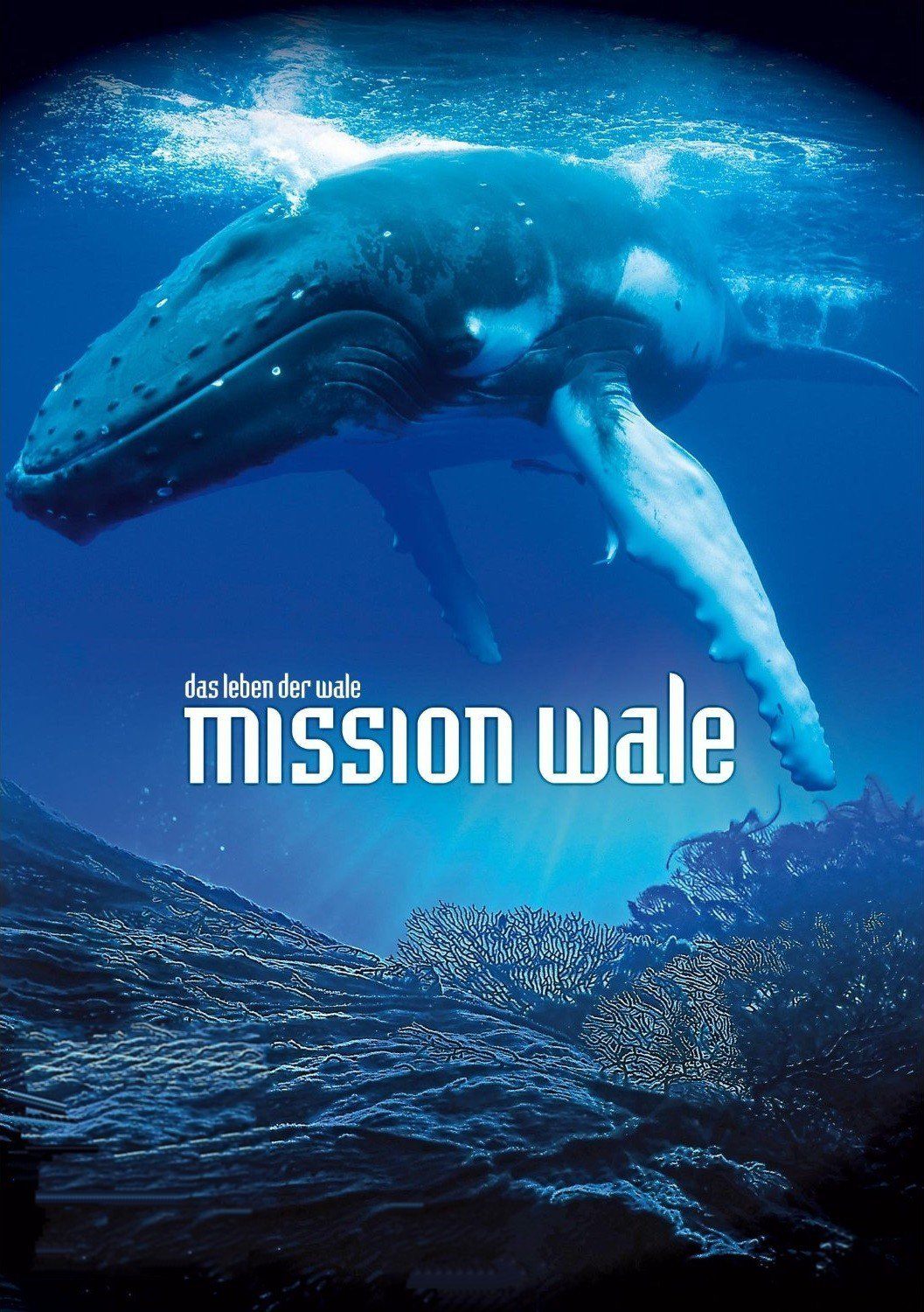 Mission Wale poster