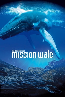 Mission Wale