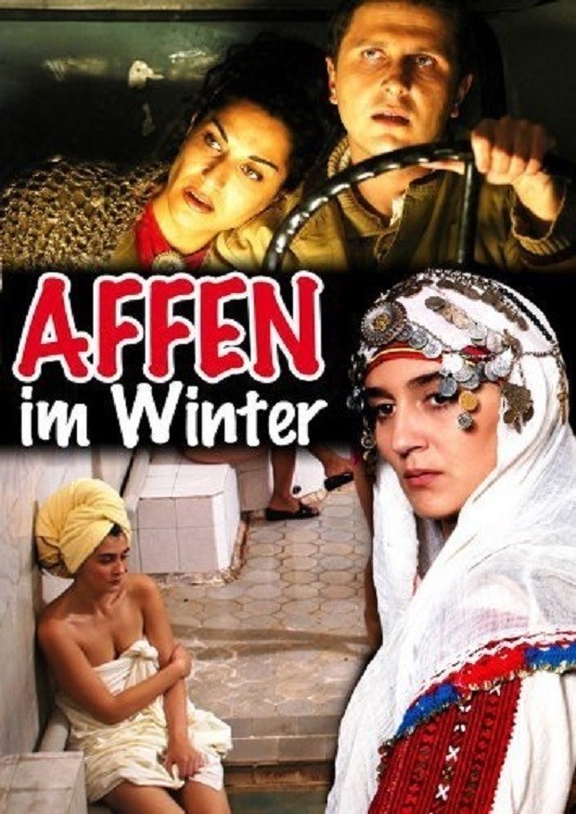 Monkeys in Winter poster