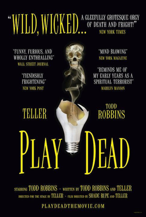Play Dead poster