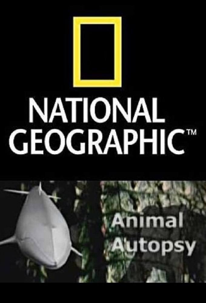 Animal Autopsy poster