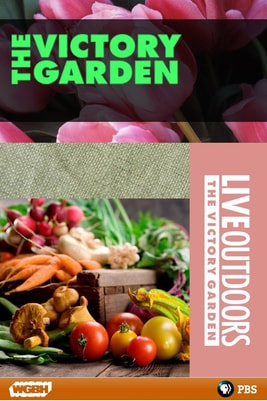 The Victory Garden