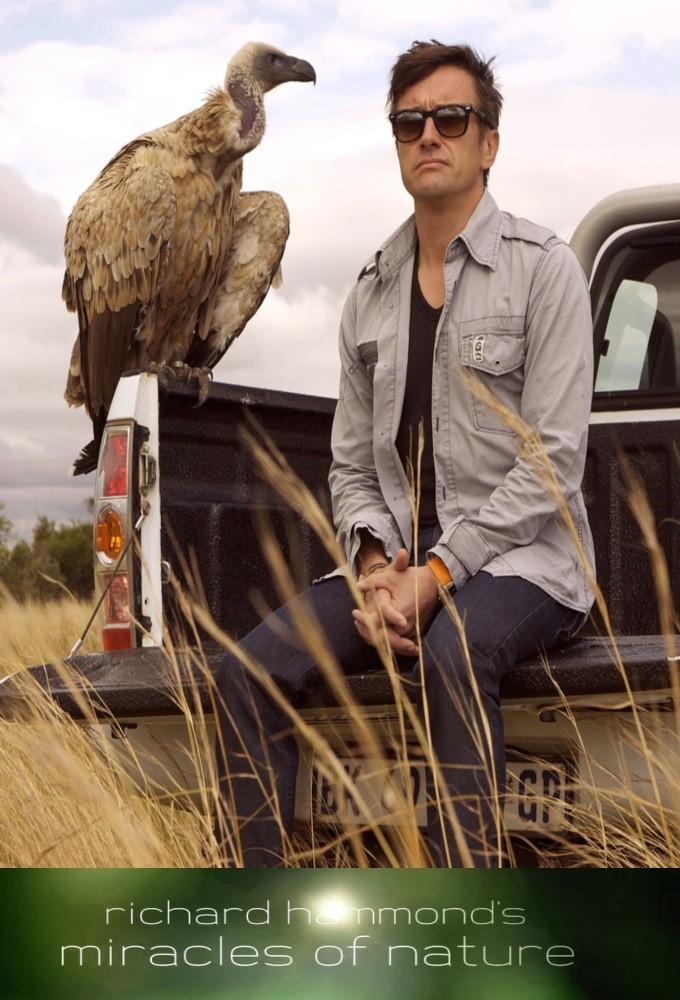 Richard Hammond's Miracles of Nature poster