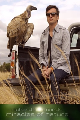 Richard Hammond's Miracles of Nature