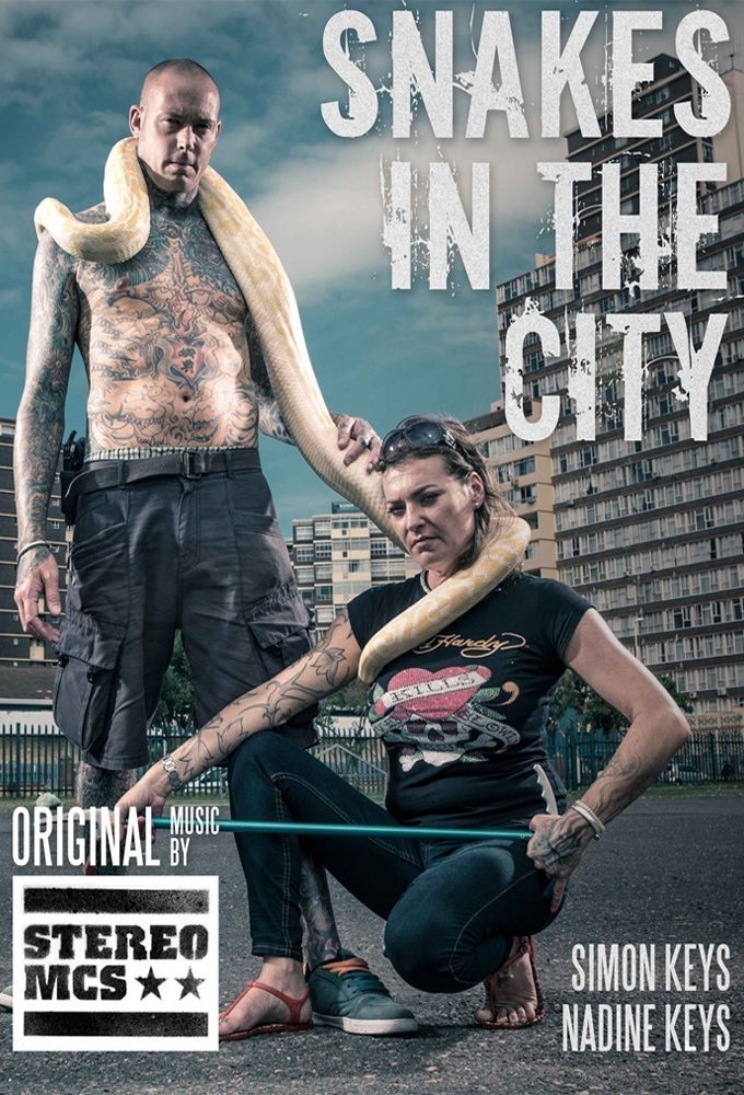 Snakes In The City poster