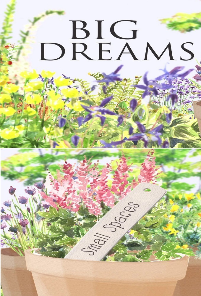 Big Dreams Small Spaces poster