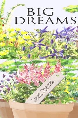 Big Dreams Small Spaces