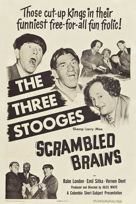 Scrambled Brains