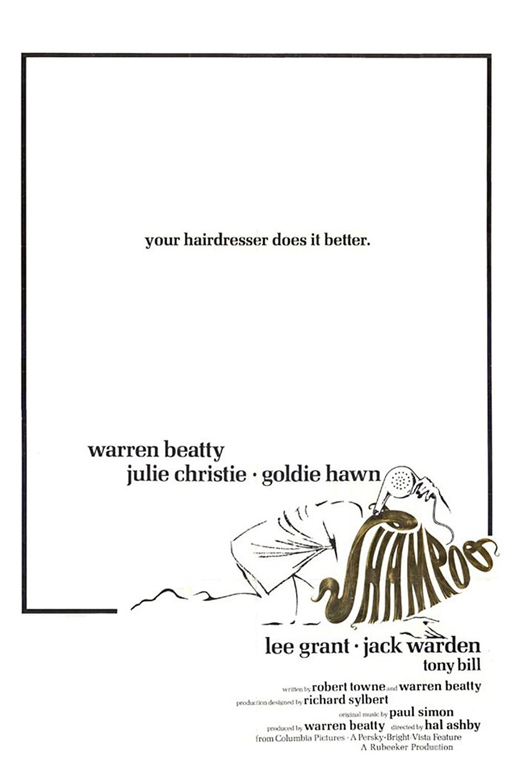 Shampoo poster