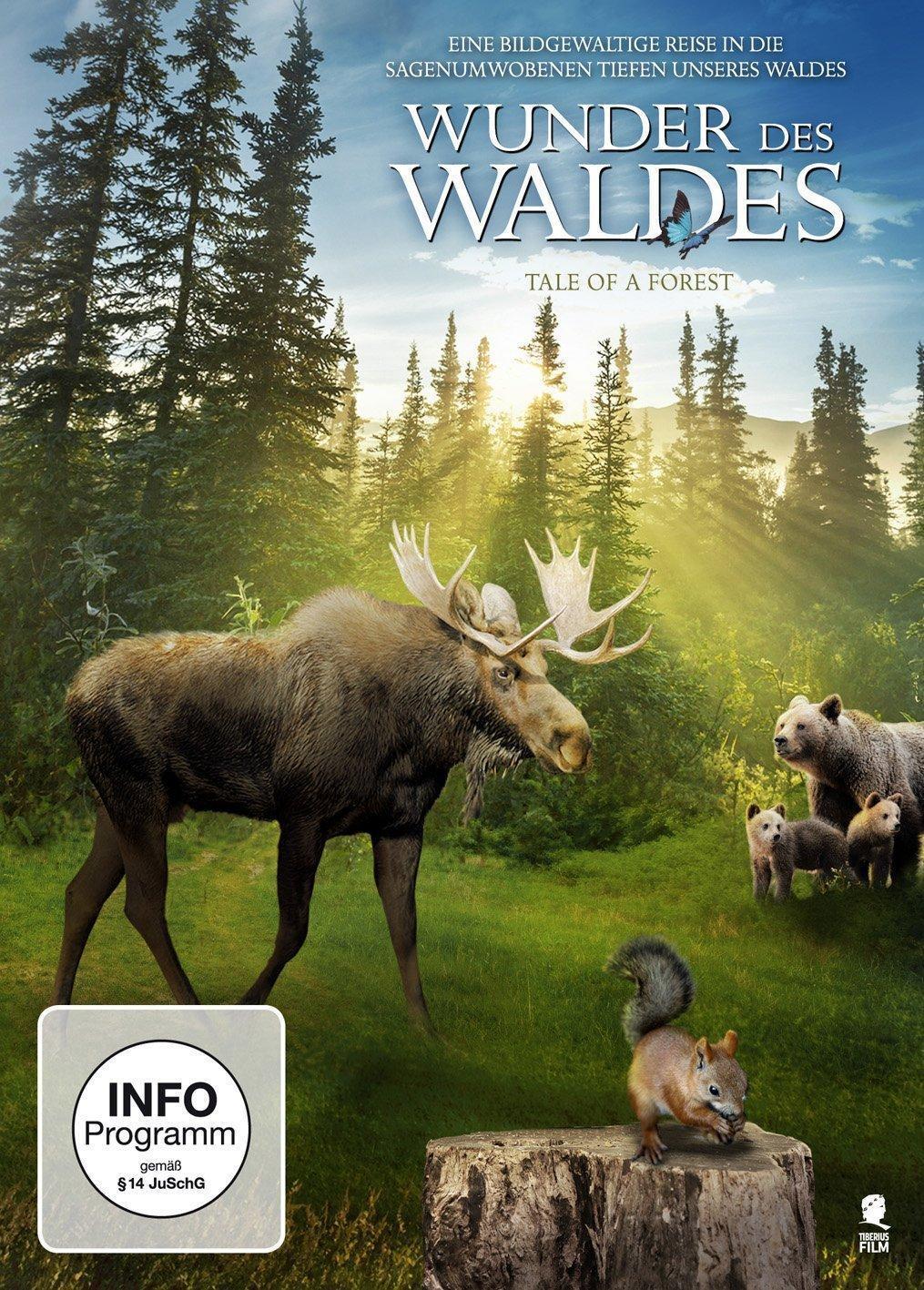 Tale of a Forest poster
