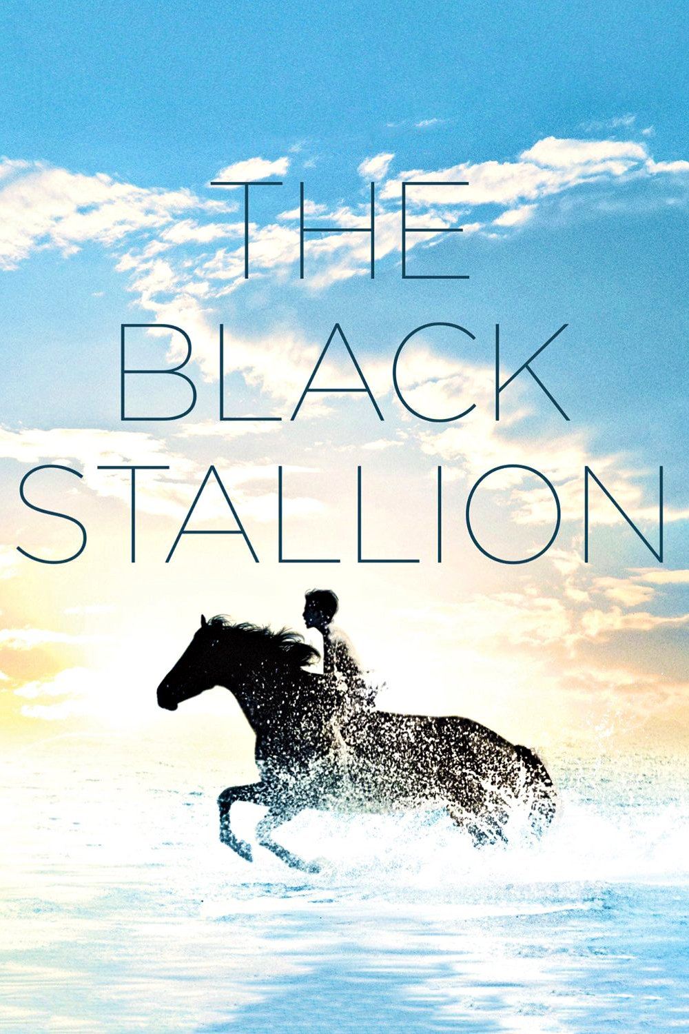 The Black Stallion poster