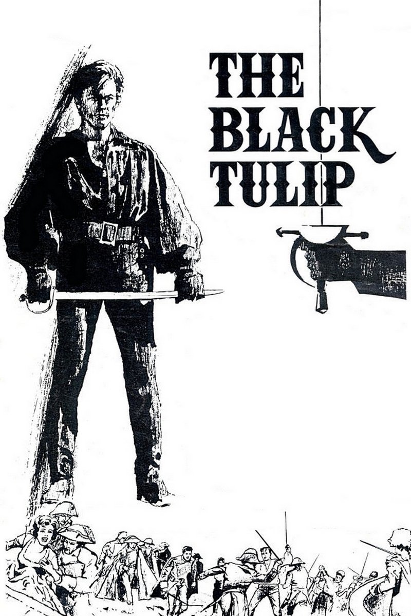 The Black Tulip poster
