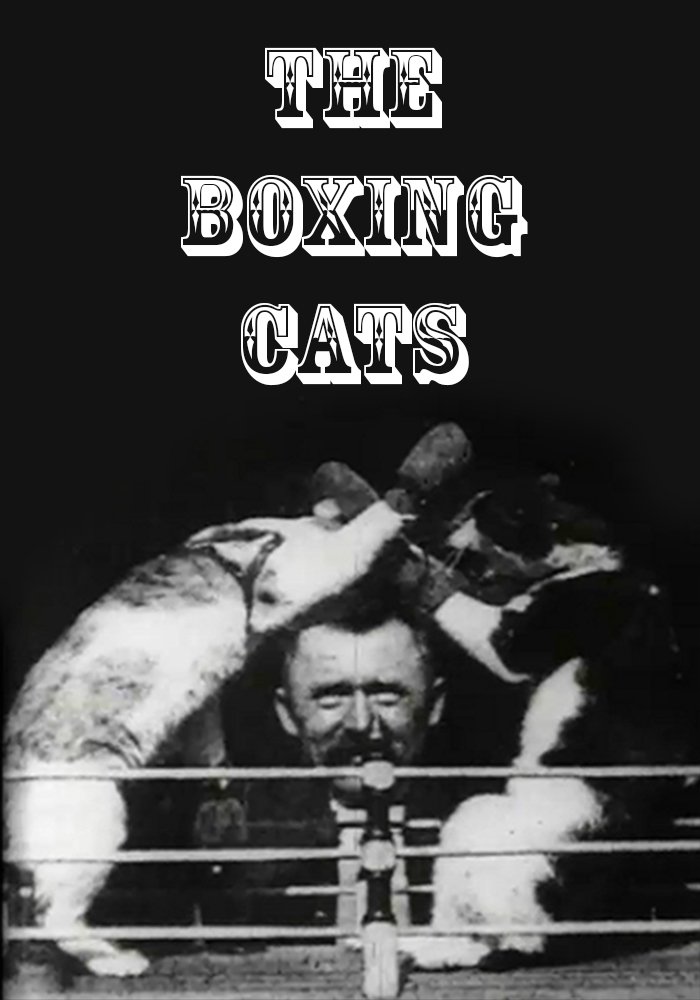 The Boxing Cats (Prof. Welton's) poster