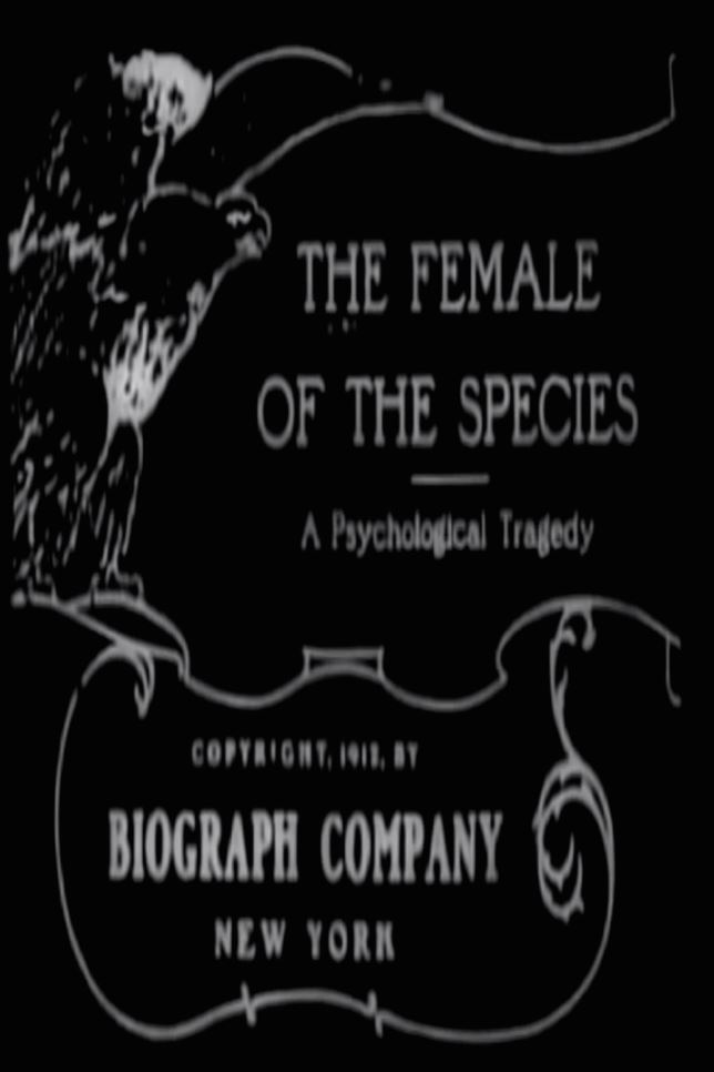 The Female of the Species poster