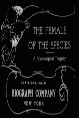 The Female of the Species