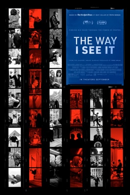 The Way I See It