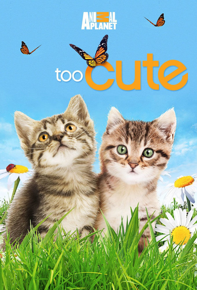 Too Cute poster