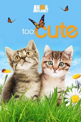 Too Cute
