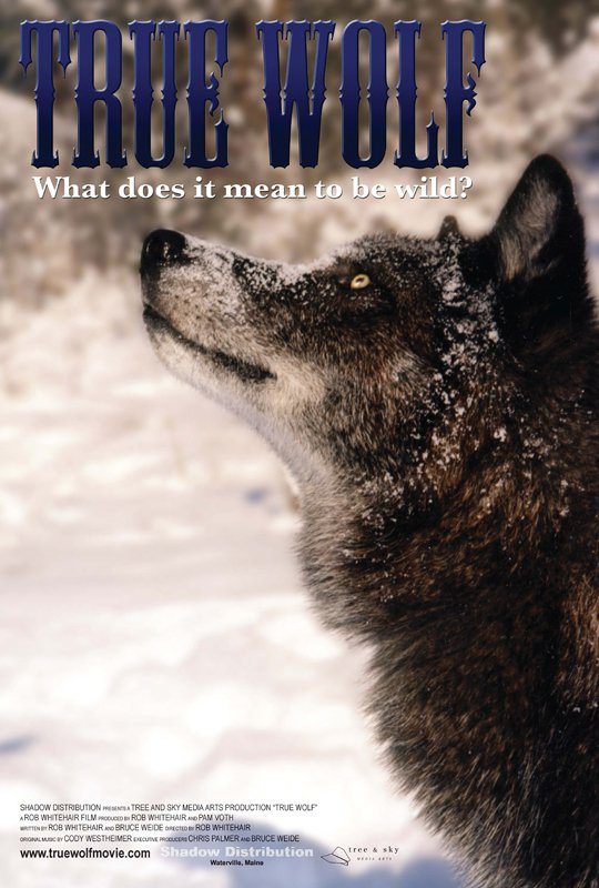 True Wolf poster