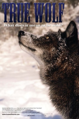 True Wolf