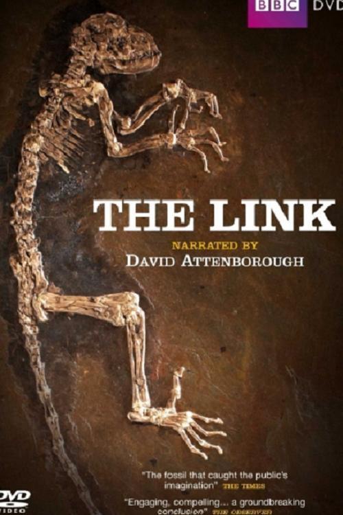 The Link: Uncovering Our Earliest Ancestor poster