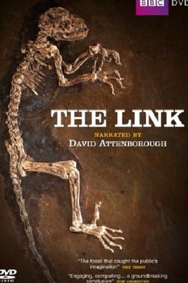 The Link: Uncovering Our Earliest Ancestor