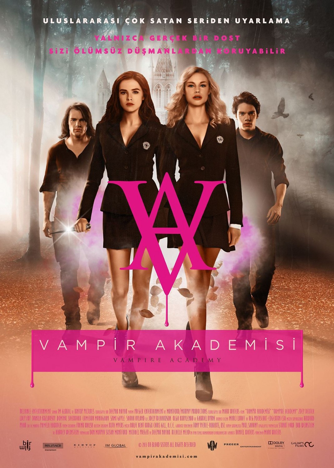 Vampire Academy: Blood Sisters poster