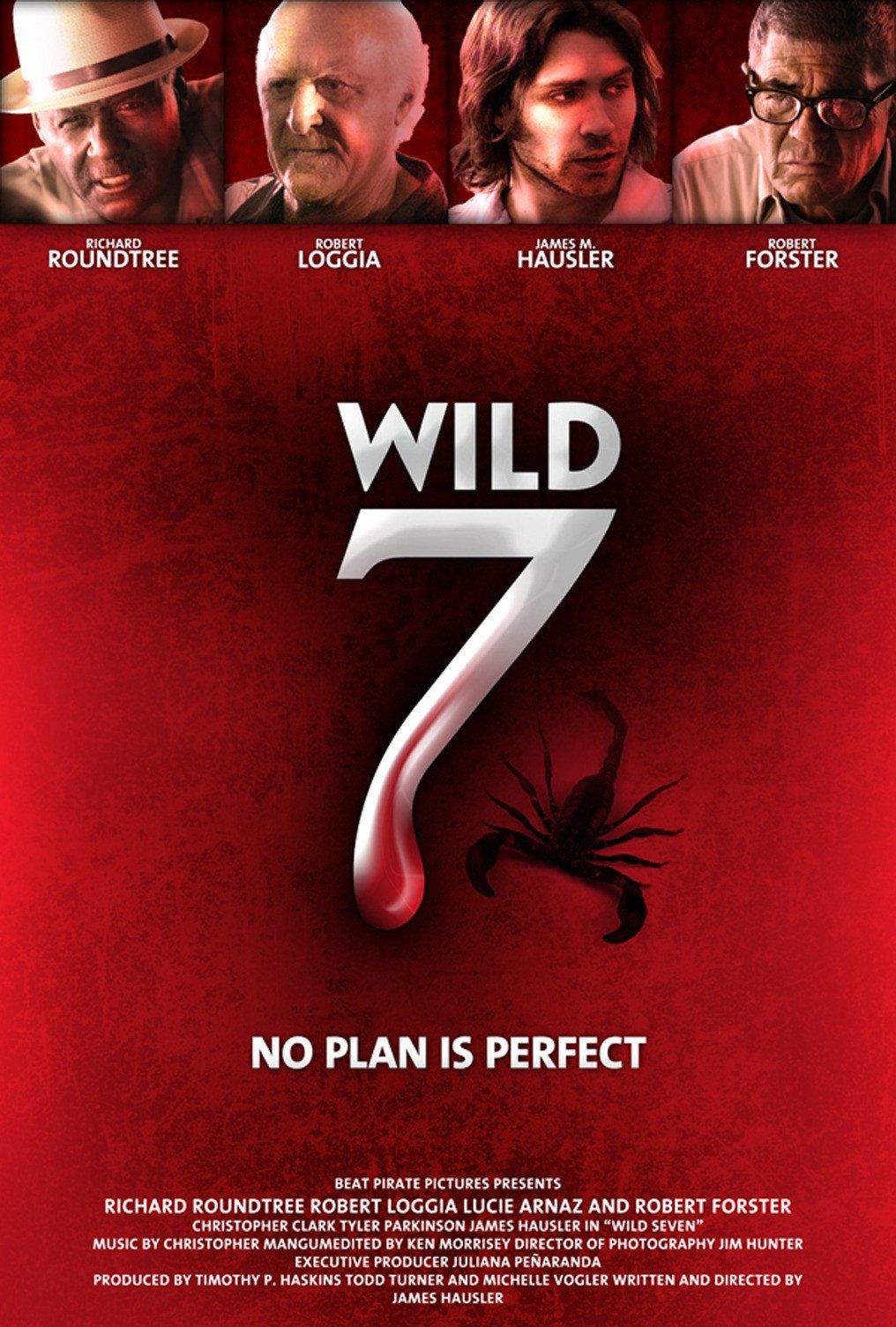 Wild Seven poster