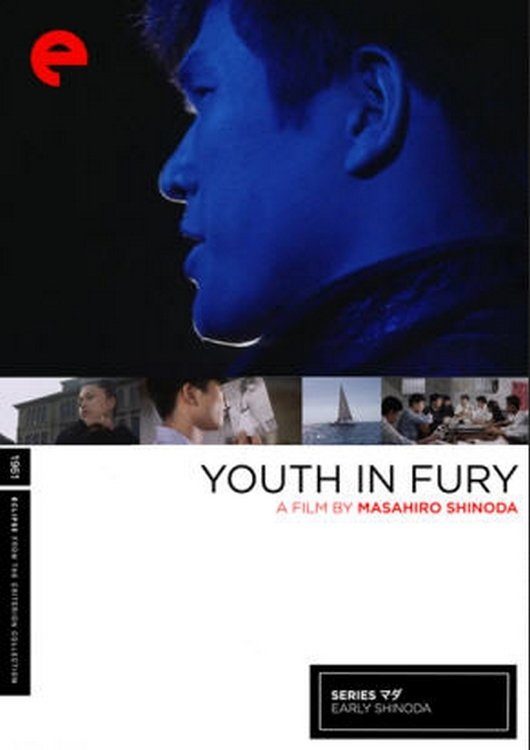 Youth in Fury poster